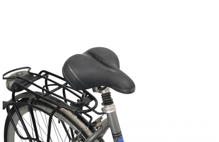 Woman's bicycle RiH Z-900 28"/54cm/Gray