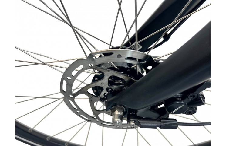 Woman's bicycle Batavus Finez 28"/60cm/black