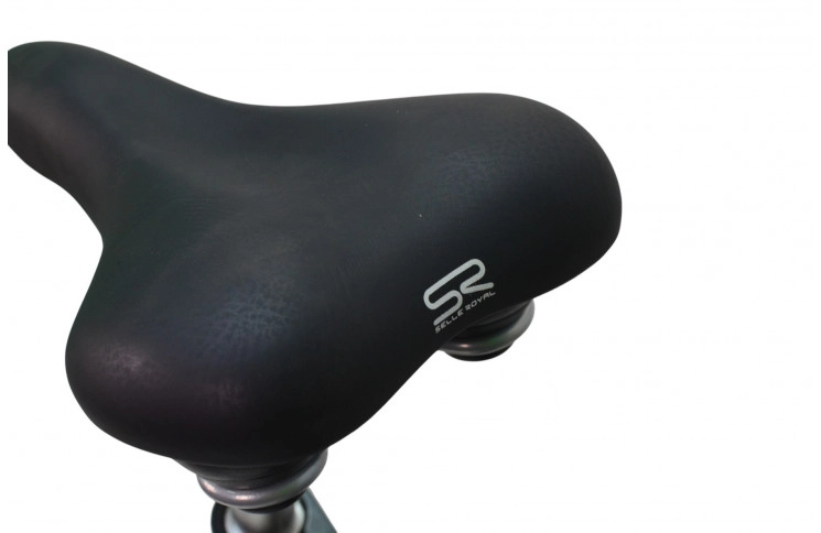 Damesfiets Batavus Flash 28"/54cm/Blauw