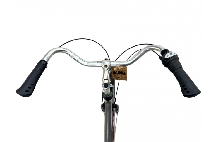 Women's bicycle Raleigh Superbe 28" 58 cm grey