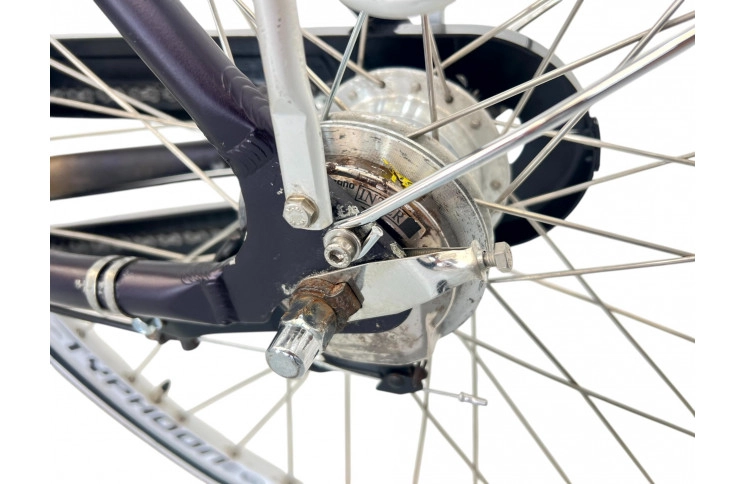 Woman's bicycle Batavus Legato D/al/Blauw/28/F54cm