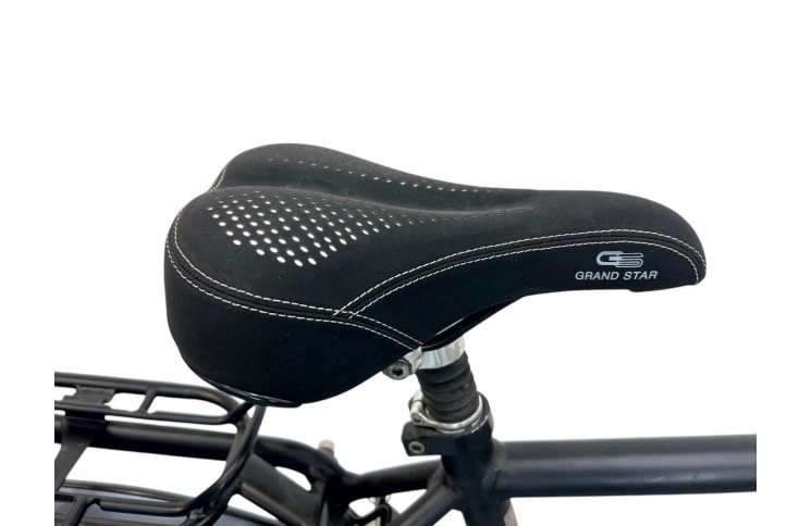 Man's bicycle Batavus Mambo 28" L/57