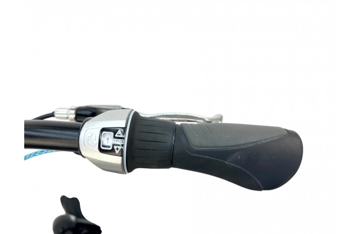 Woman's bicycle Batavus Dinsdag w/al/sity/black/28/f53