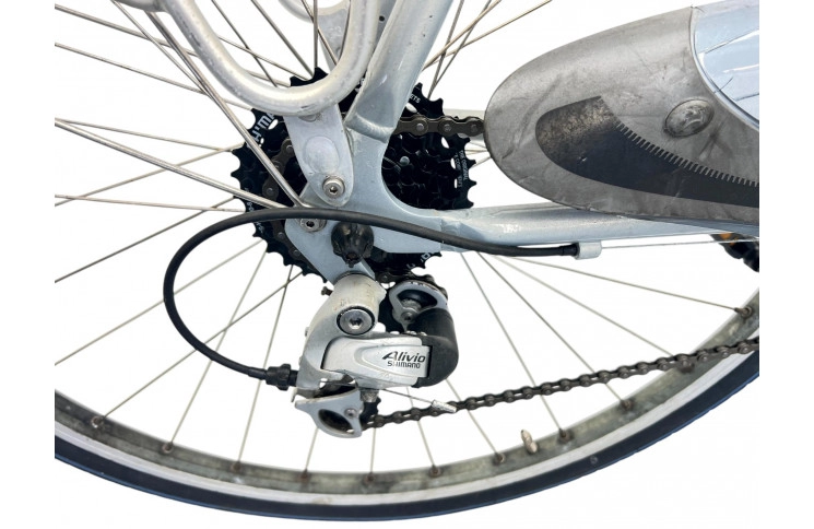 Man's bicycle Gazelle Medeo 28" 57