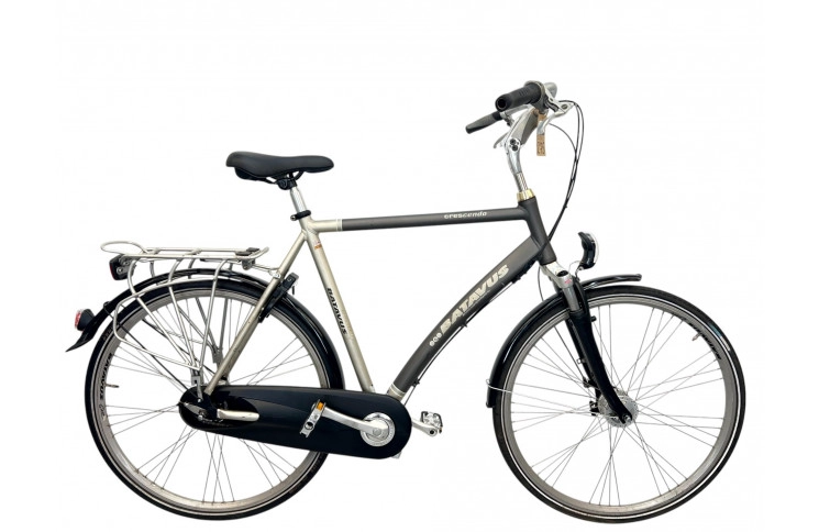 Man's bicycle Batavus Crescendo 28" XL/61 gray-brown