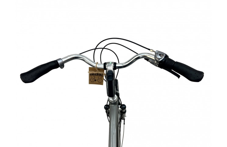 Man's bicycle Giant Ultimo 28"/60cm/gray