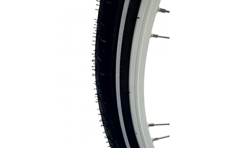 Woman's bicycle Batavus Diva 28" 50