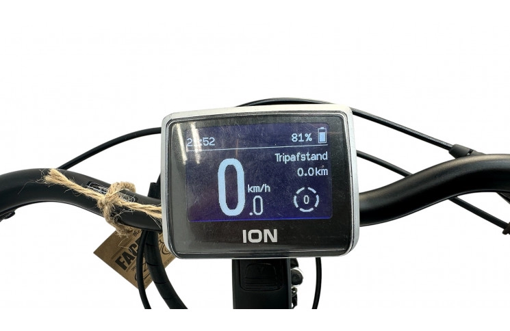 E-Bike Batavus Wayz 28"/53cm/grey/36V 14.5Ah 522Wh