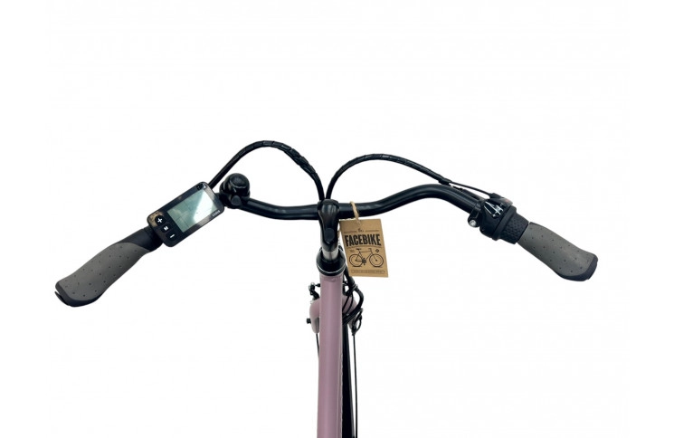 Avalon E-Base/Battery 12ah 432wh/50 cm/Oudroze/F419