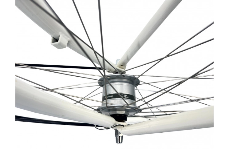 Woman's bicycle Batavus Diva 28" 50