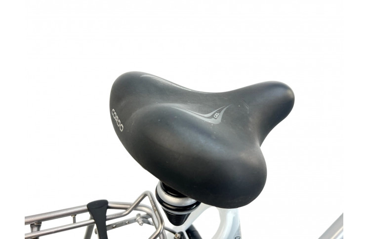 Woman's bicycle Gazelle Bloom 28"/61cm/gray-white