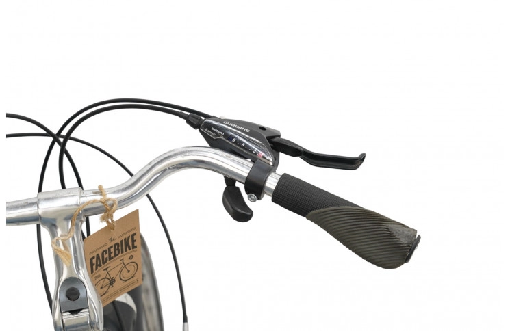 Herenfiets Giant Freerider 28"/57cm/Bronzen