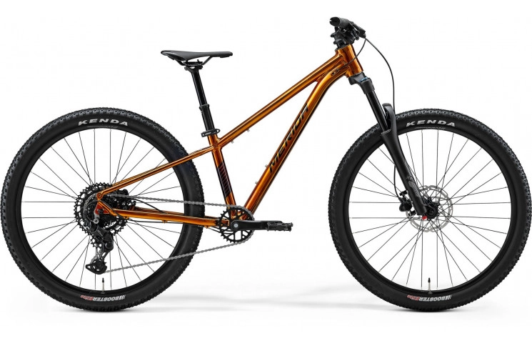 Merida MATTS J.CHAMPION 26"/27cm/9ver/Goud/2026/A62611A01924