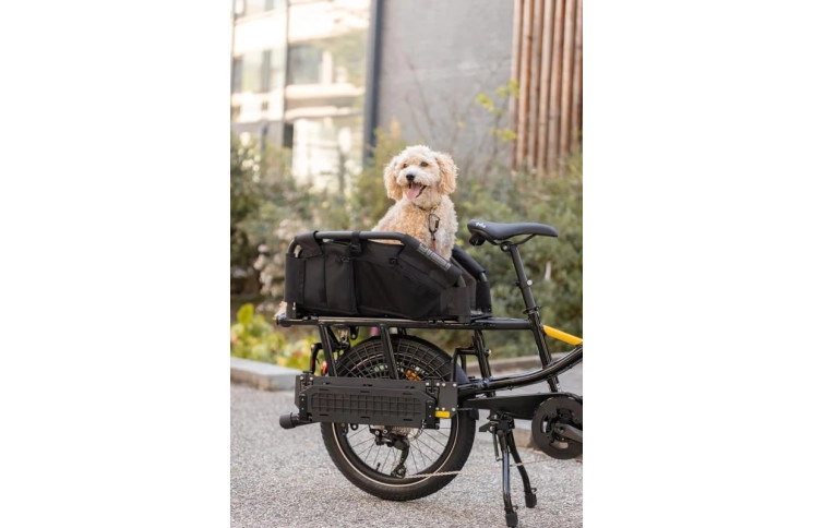 Compact Yuba FastRack Family Edition 20" Latte 2024