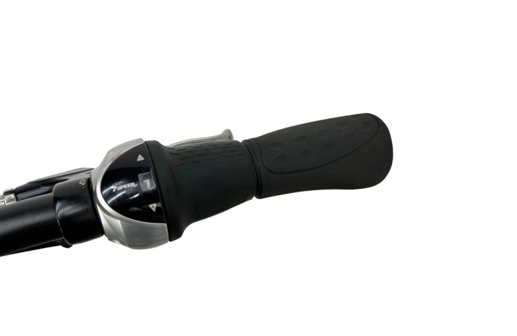 Man's bicycle Batavus Dinsdag 28"/53cm/Black