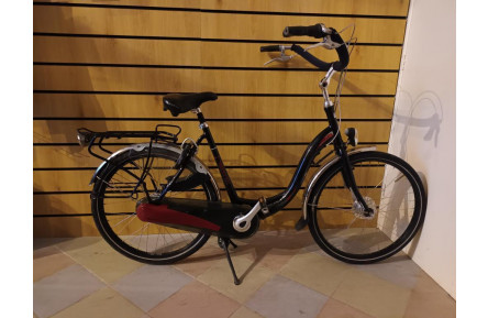 Woman's bicycle Sparta Trendy Amazone