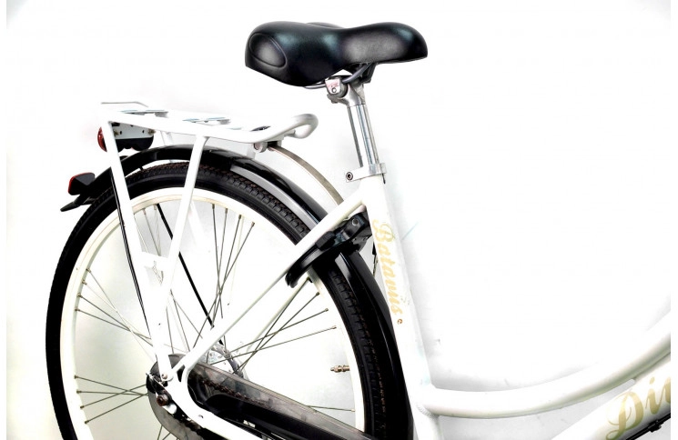 Woman`s bike Batavus Diva