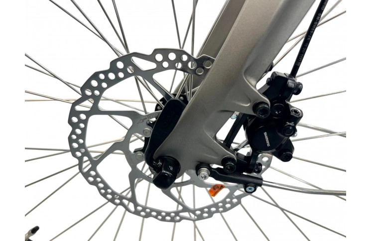 E-BIKE VOGUE MIO M300, 8SP 1, HYDRAULIC, 46CM, MATT-GREY 13Ah/80Nm/468Wh