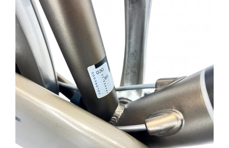 Man's bicycle Batavus Staccato 28"/65cm/Black-bronze