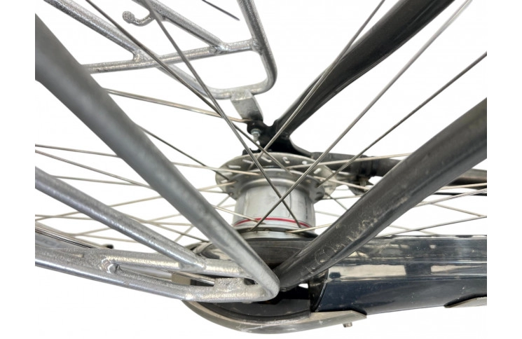 Men's bicycle Gazelle Chamonix 28" 57 cm gray