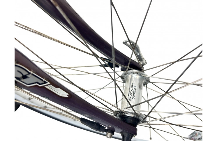 Woman's bicycle Giant Brazil 28" 53