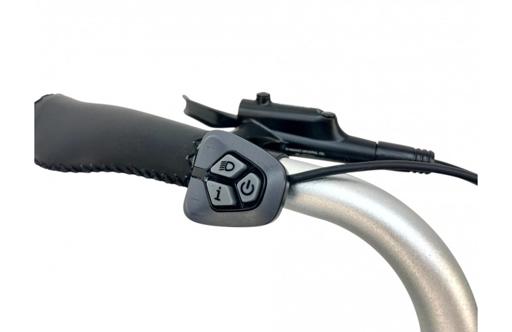 E-BIKE VOGUE ZENDA M300 28" 51cm, matt-black/Bafang m300/36V 13Ah 468Wh/LCD