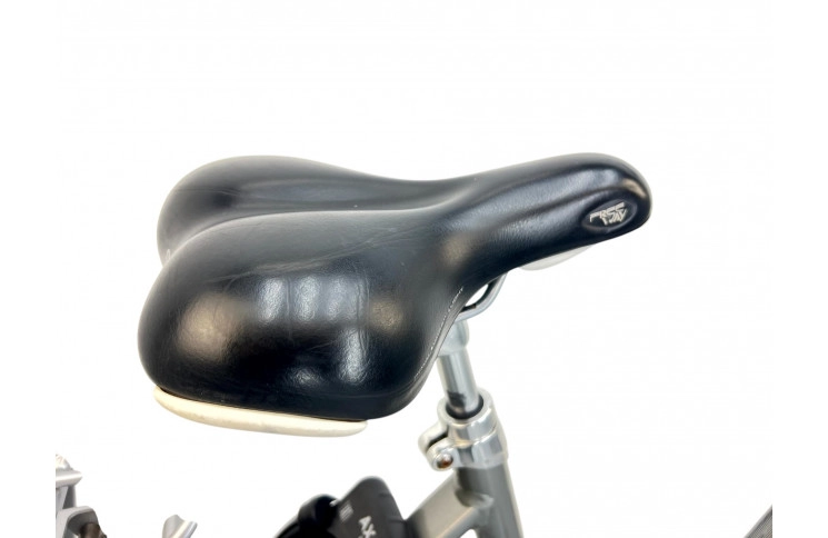 Damesfiets Giant Ultimo 28"/50cm/grijs