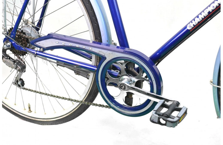 Man's Batavus Champion Tour