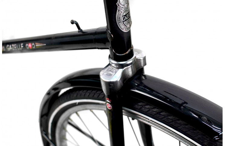 Woman`s bike Gazelle Basic