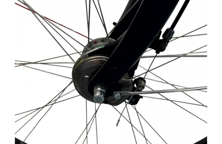 Woman's bicycle Batavus Mambo 28" 54