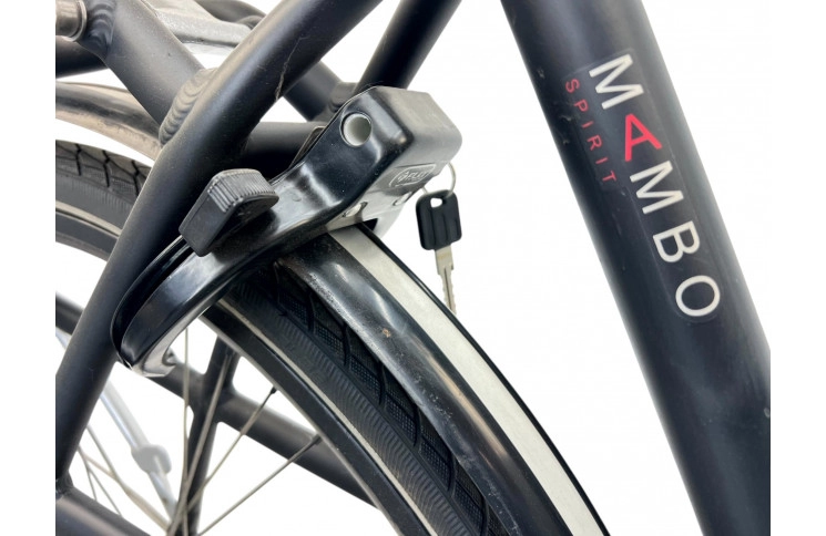 Woman's bicycle Batavus Mambo 28" 54