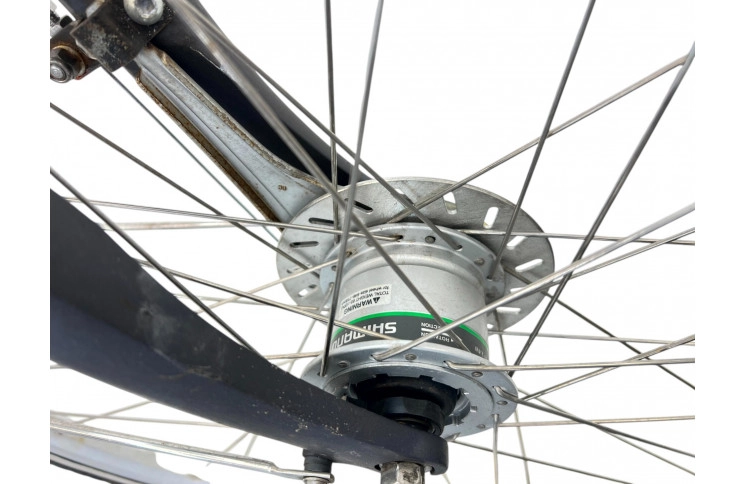 Men's bicycle Gazelle Chamonix 28" 57 cm gray