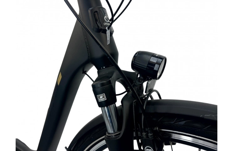 Woman's E-bike 28" Prophete Geniesser 22.ETC.10, 49