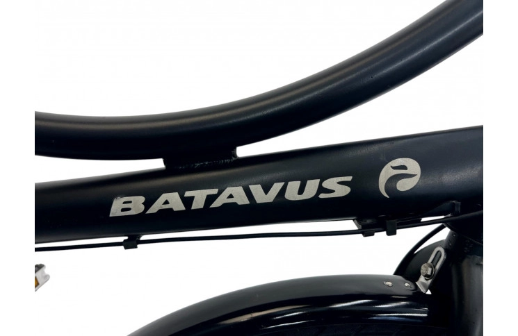 Woman's bicycle Transport bike Batavus Diva 28" L/56 matt black