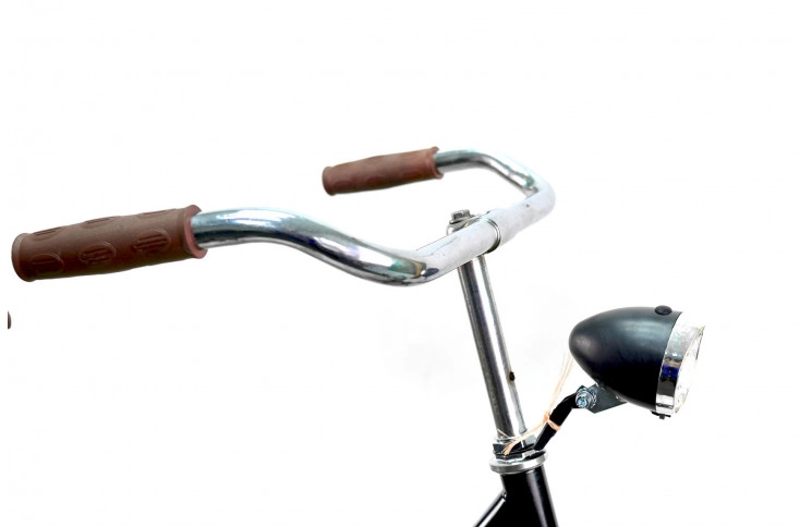 Woman`s bike Batavus Old Dutch