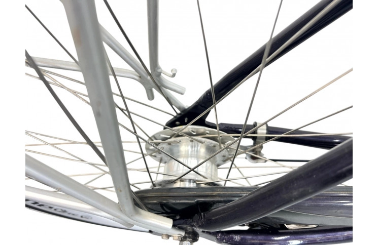 Woman's bicycle Altra Navigator w/al/28/sity/silver/50cm