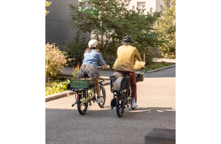 Compact Yuba FastRack Regular 20" Espresso 2024