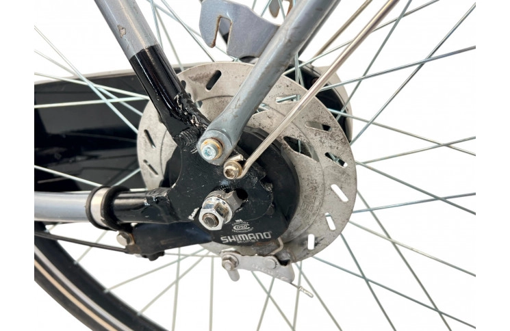 Men's bicycle Batavus Vienna 28" 66 cm gray