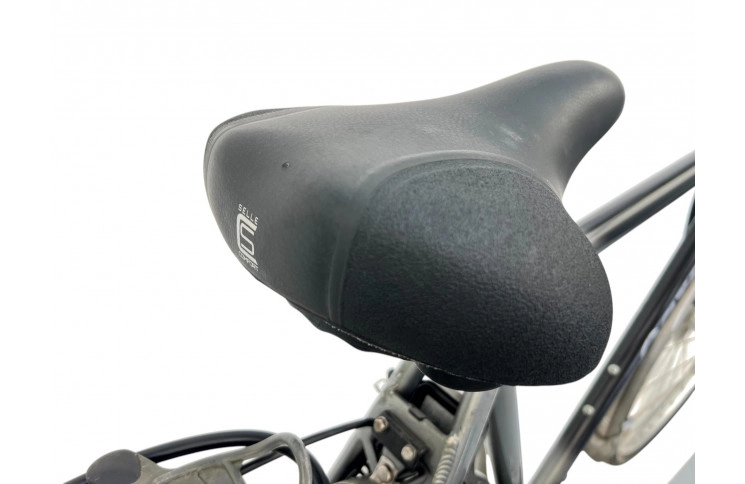 Man's bicycle Gazelle Davos 28" L/57