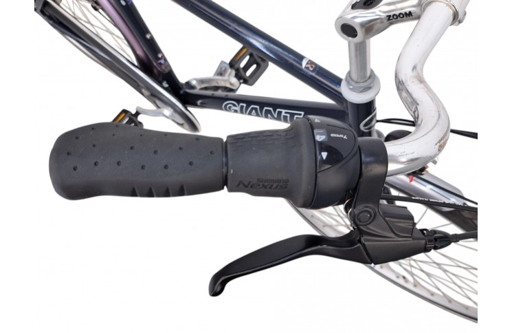 Man's bicycle Giant Freerider 28"/54cm/blue