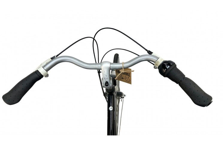 Man's bicycle Gazelle Esprit Urban 28"/50m/Black