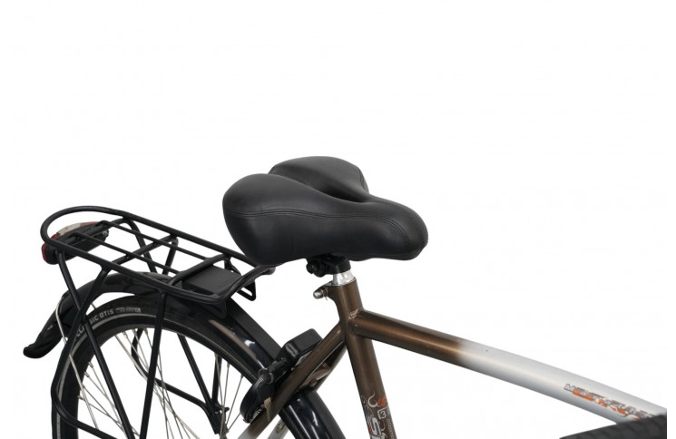 Man's bicycle Sparta Marathon 28"/60cm/Gray