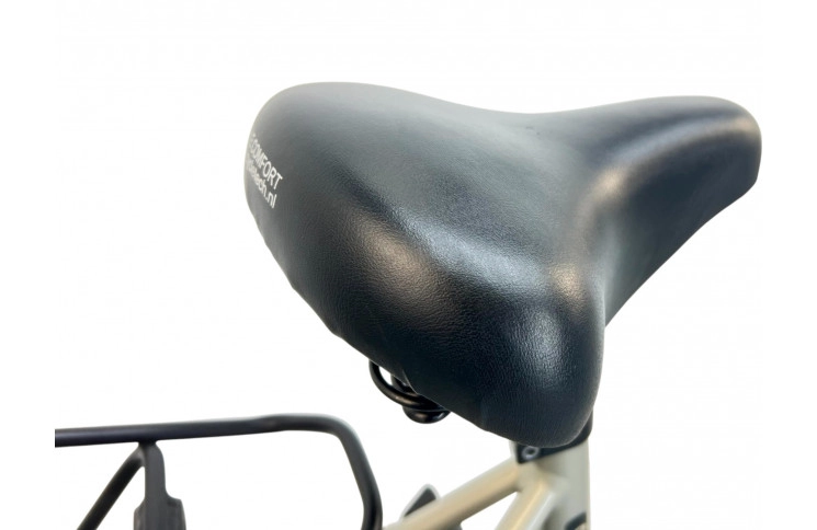 Woman's bicycle Batavus Fuego 28"/53cm/Gray