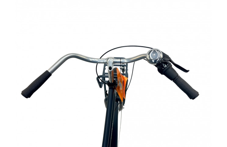 Damesfiets Prophete Genieser 20.BTC.20 28"/48cm/blauw