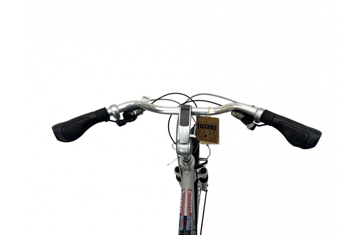 Man's bicycle Gazelle Medeo 28" 57