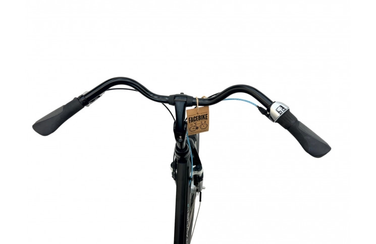 Woman's bicycle Batavus Dinsdag w/al/sity/black/28/f53