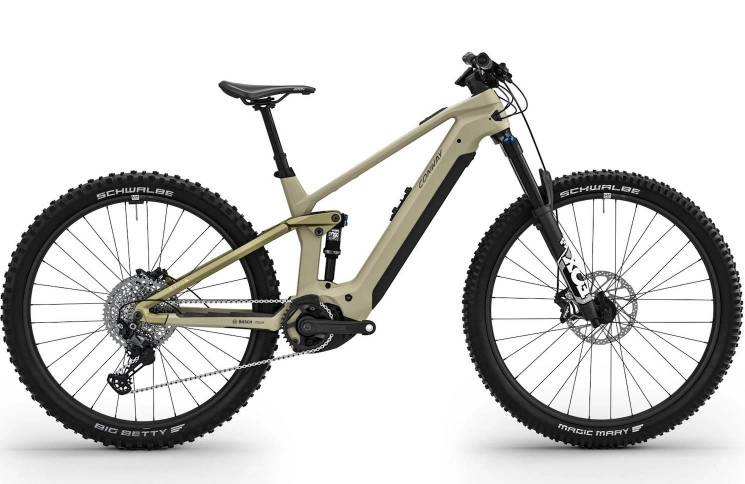 CONWAY Elektrische MTB Full-Suspension Xyron ST 8.0 №1 29"/42cm-M/12/rood metallic - zwart metallic/02810433