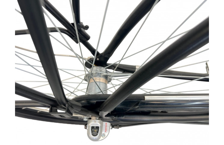 Woman's bicycle FaceBike Nl 28" S/51