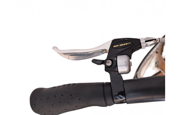 Woman's bicycle Batavus Mambo 28"/53cm/gold