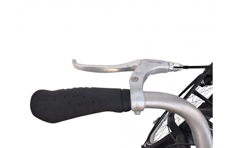 Damesfiets Avalon Move 28/53cm/zwart